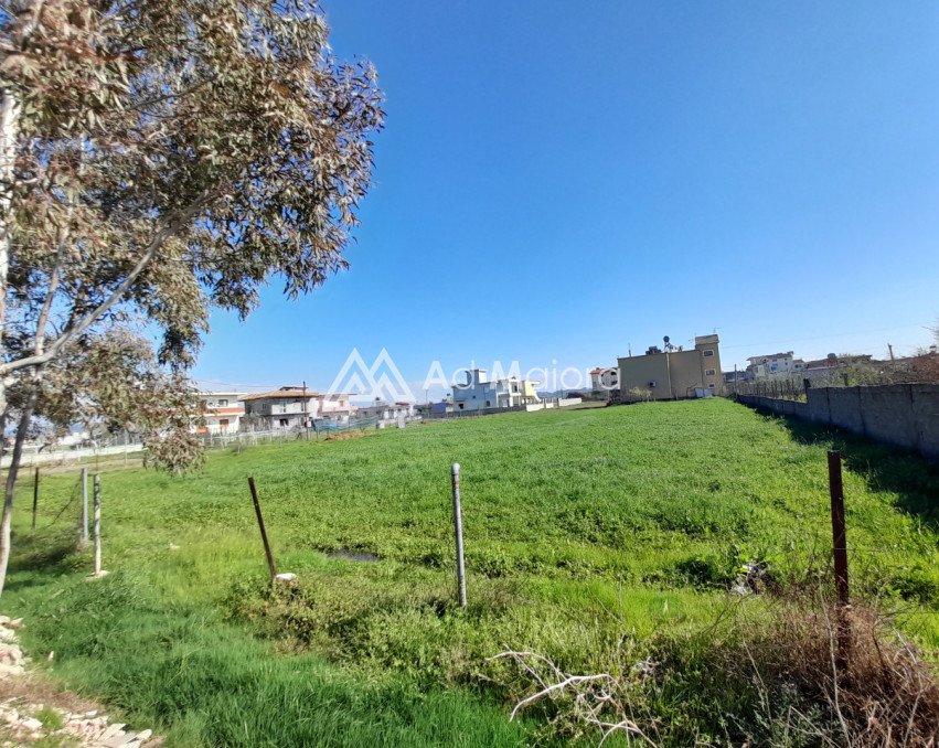 shitet toke ne xhafzotaj